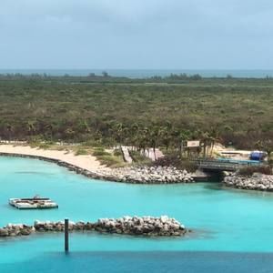 Meet your Posher, Holly